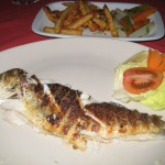 Fisk