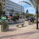 Yasmine Hammamet